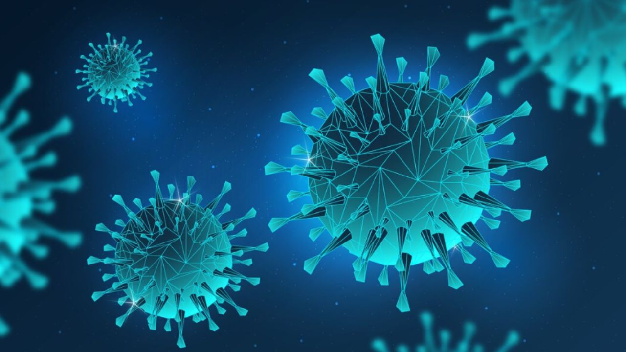 Representational Image : Photo Credit: Freepik