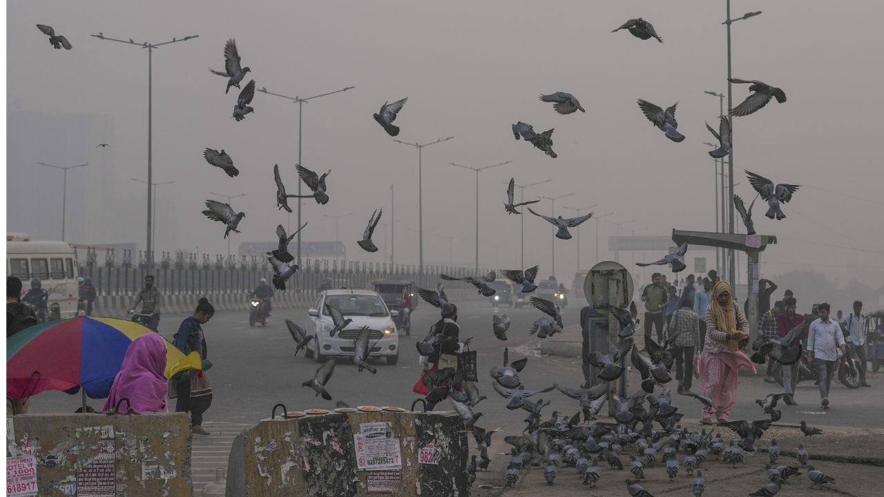 Delhi Air Pollution 