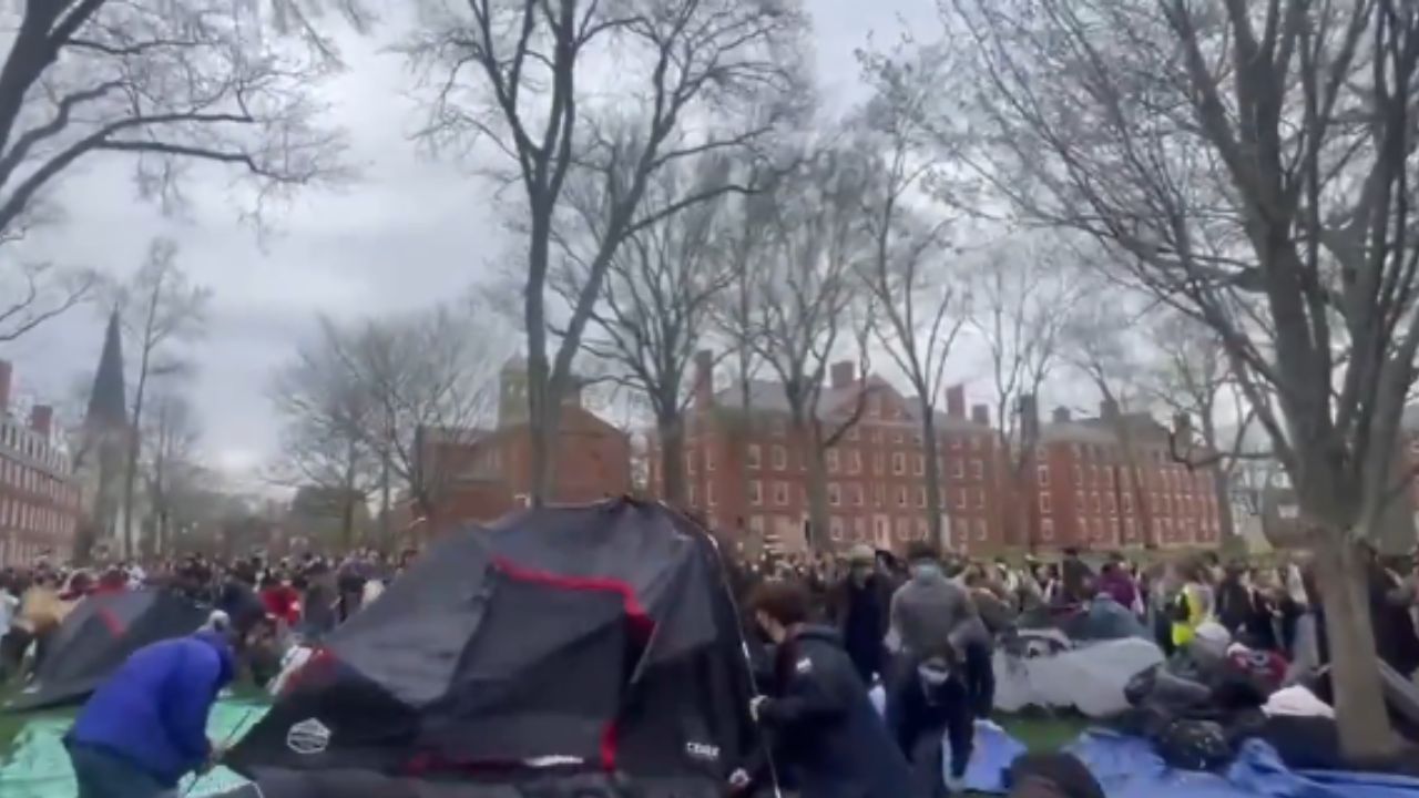 Representational Image । X/@hzomlot