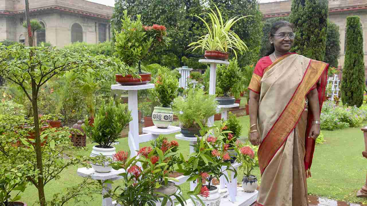 president droupadi murmu inaugrating : Photo Credit: PTI