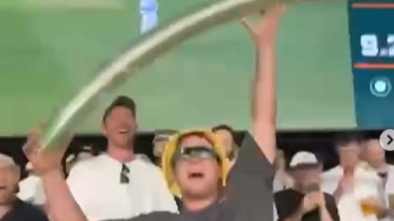 beer snake video goes viral