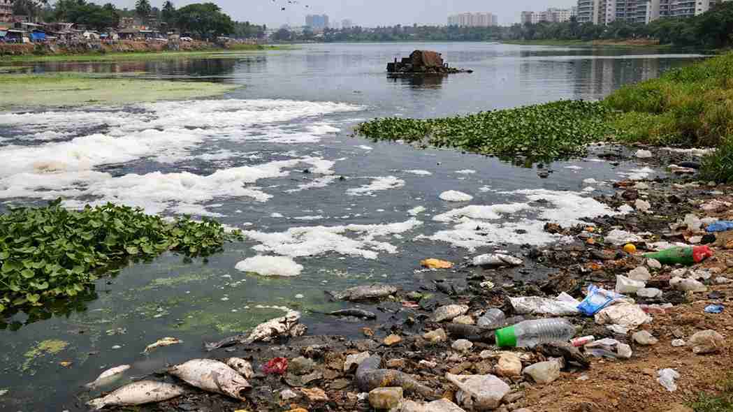 प्रतीकात्मक तस्वीर । Photo Credit: PTI