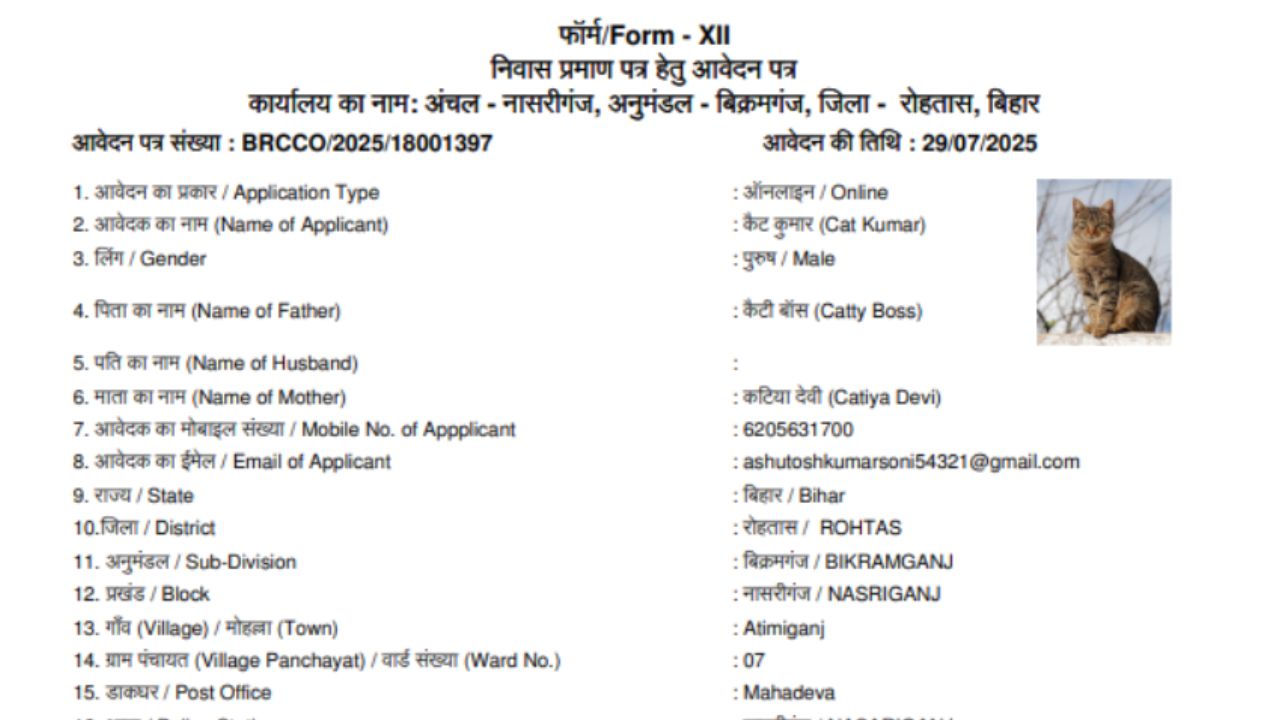Pic of Application in bihar। Photo Credit: X/@say_shashank07