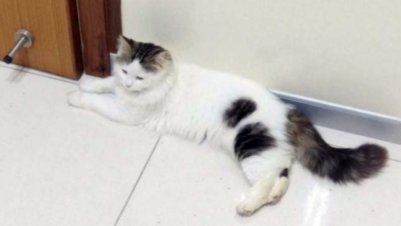 Representational Image । Photo Credit: PTI