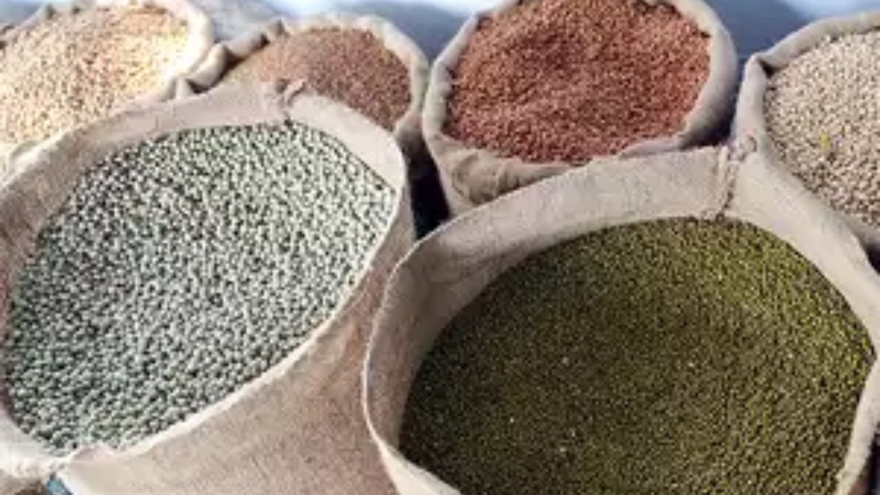 central government food subsidy 