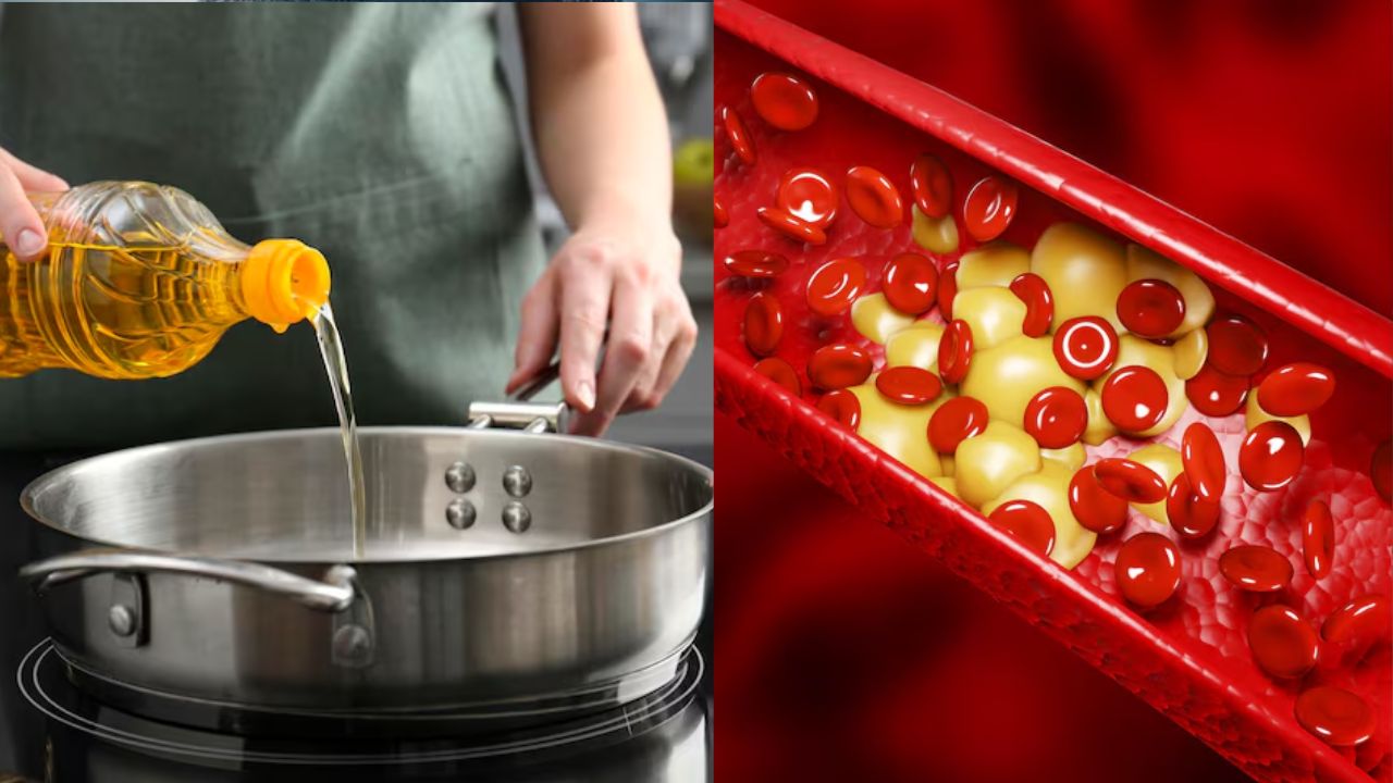 cooking oil increase cholesterol