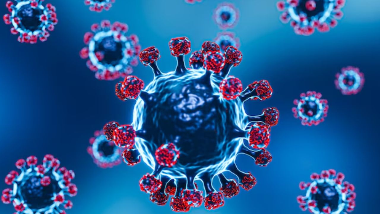 corona cases in india