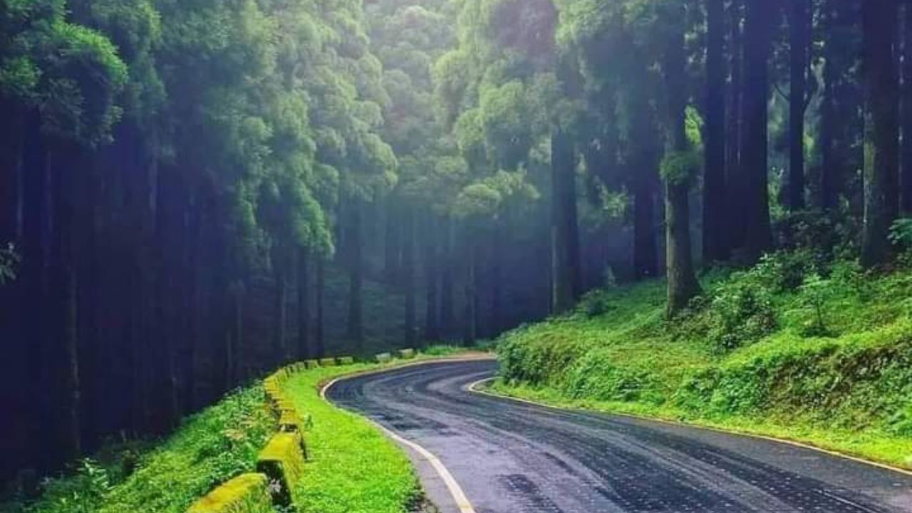 Darjeeling Natural Beauty