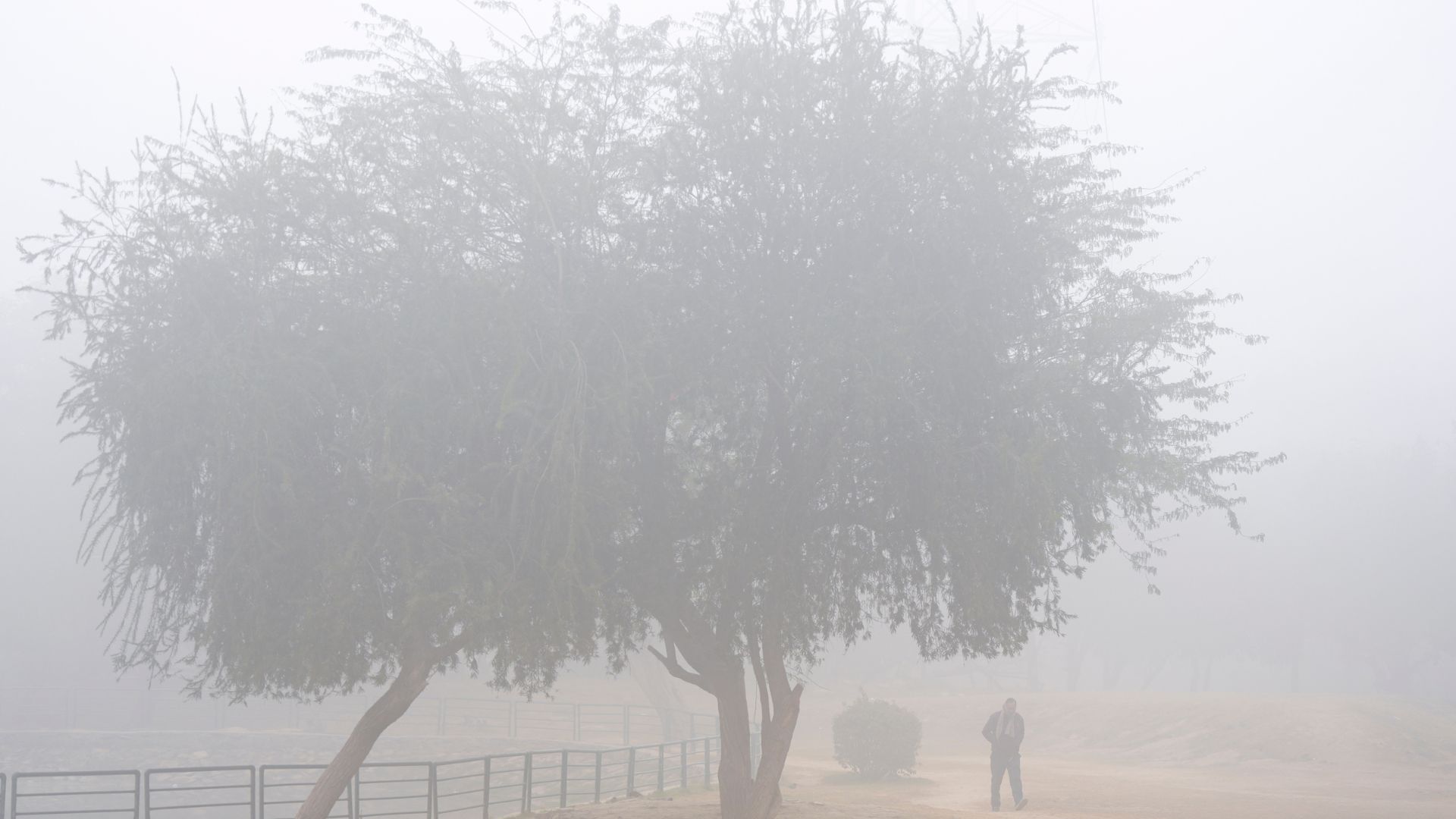 Fog in Delhi