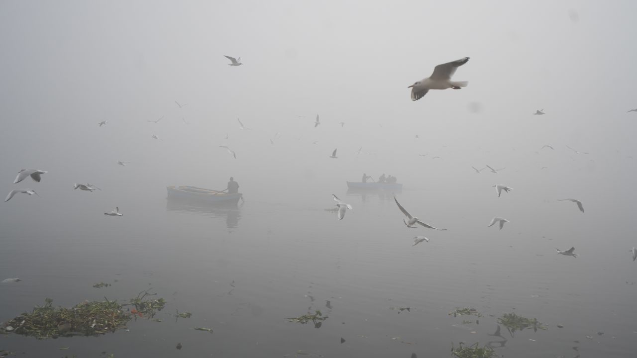 Delhi Air Pollution 