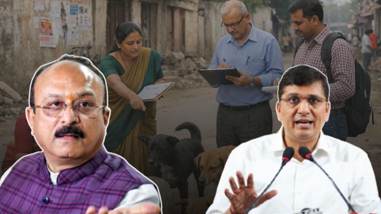 delhi dog counting controversy
