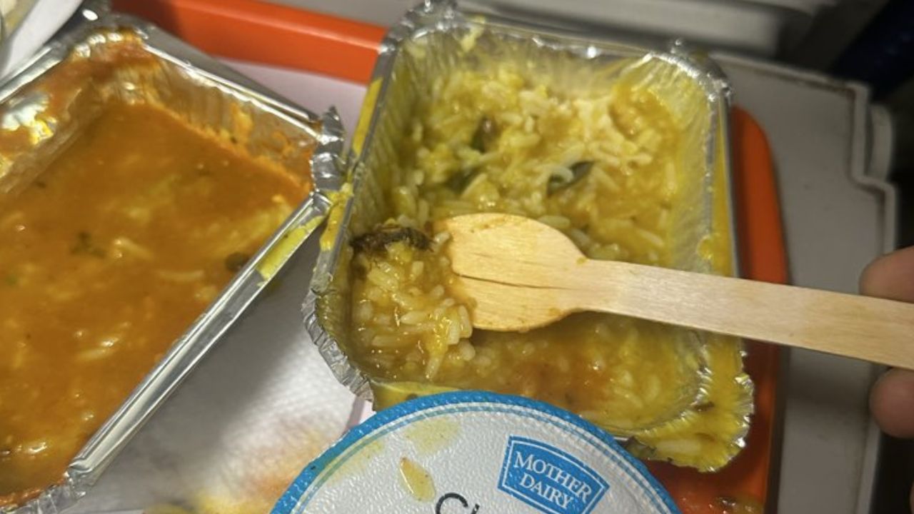 Insect in food, Photo Credit: Social Media 