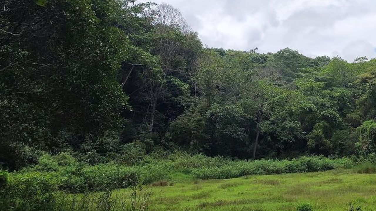 representational Image । Photo Credit: PTI