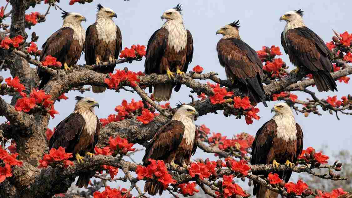 प्रतीकात्मक तस्वीर । Photo Credit: AI Generated