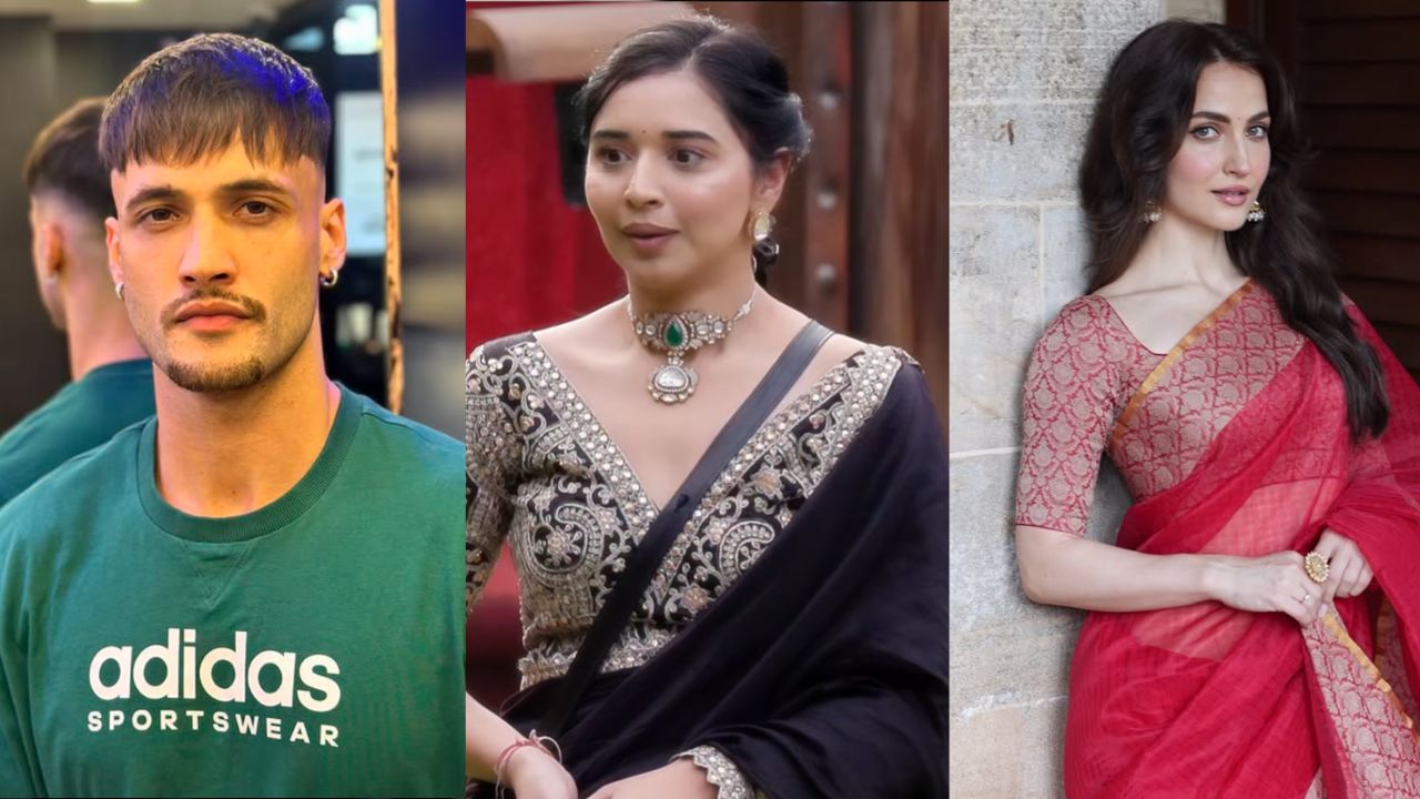 asim riaz, tanya mittal and elli avram