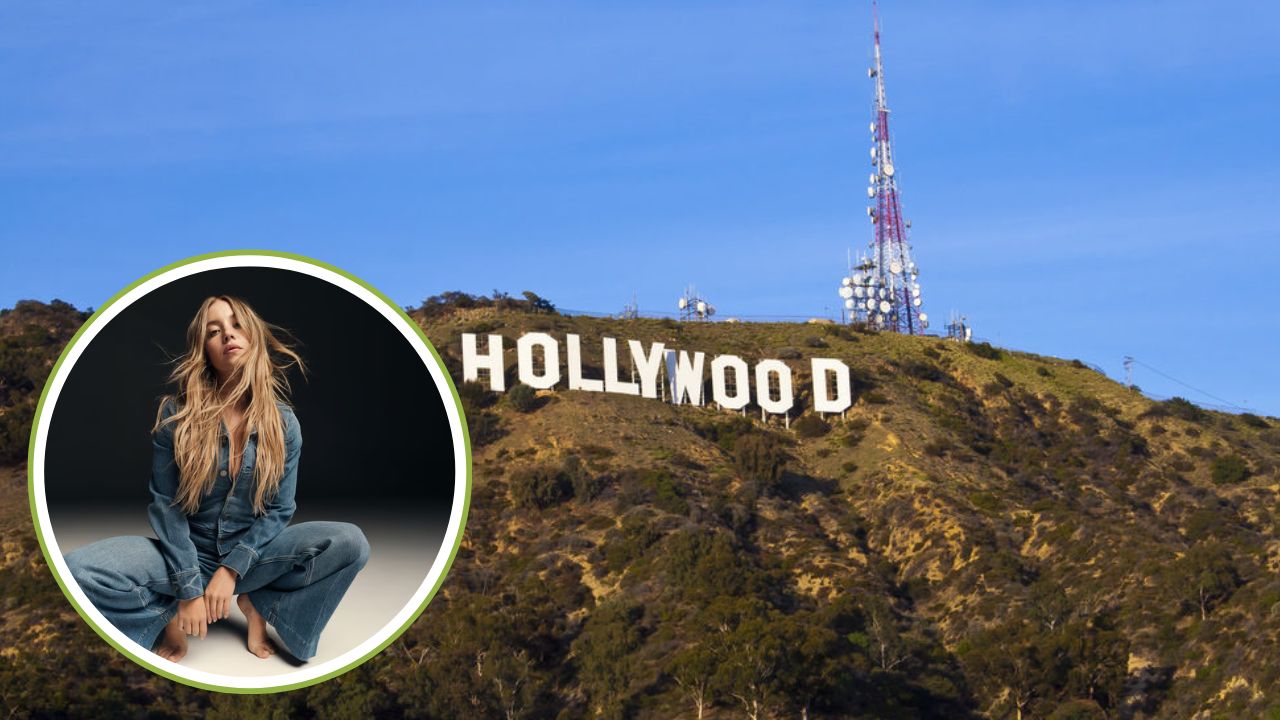 sydney sweeney bra hollywood