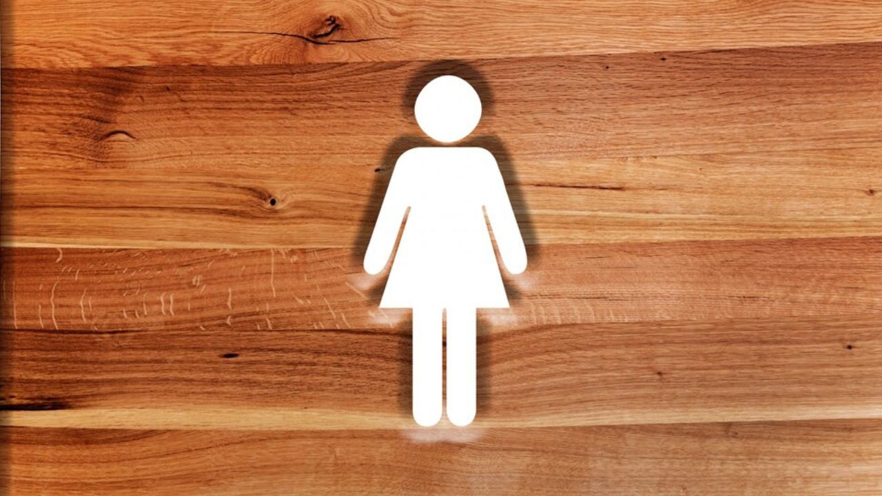 Hyderabad Medchal case