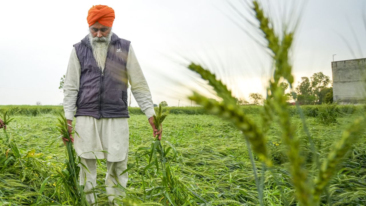 Weather report today