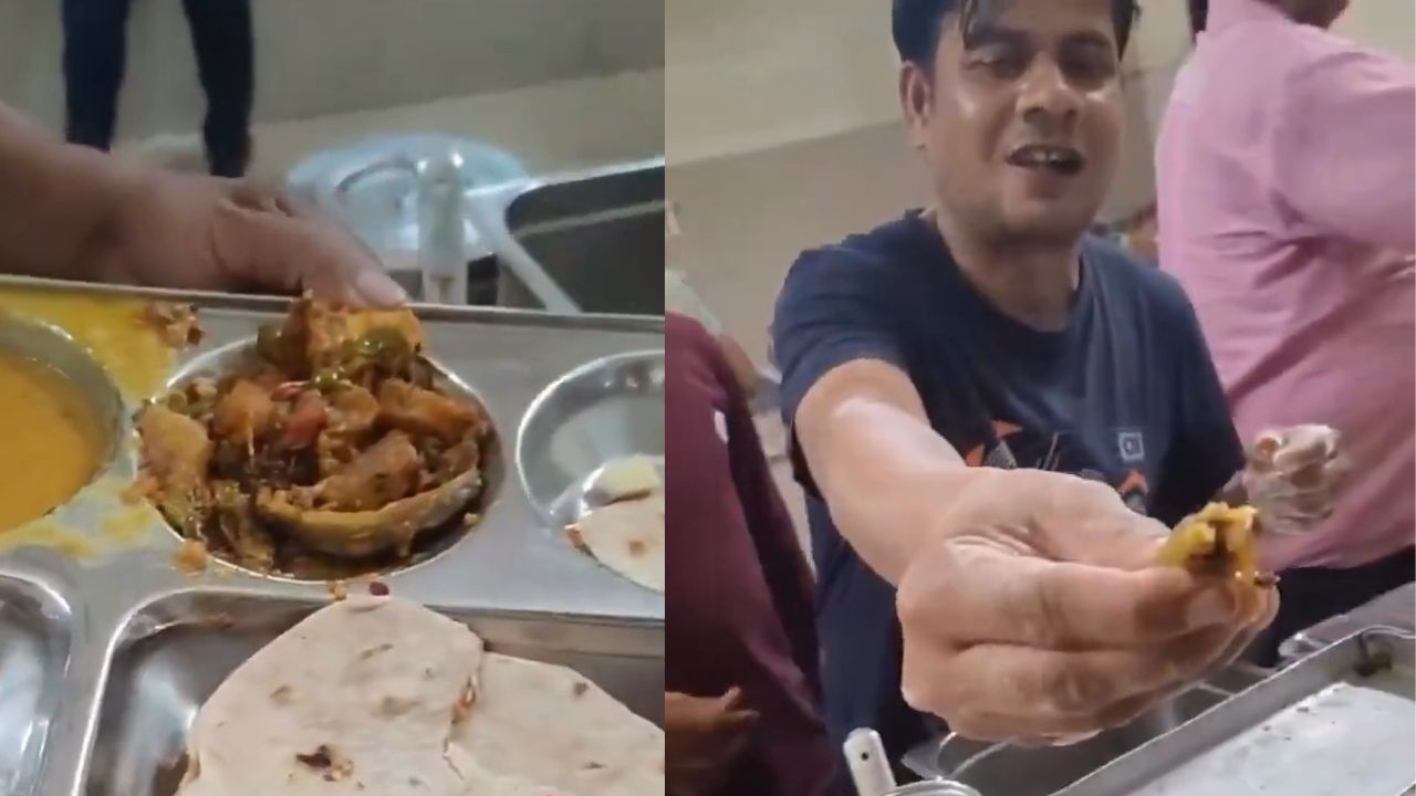 Lizard found in RGPV university canteen food in Bhopal