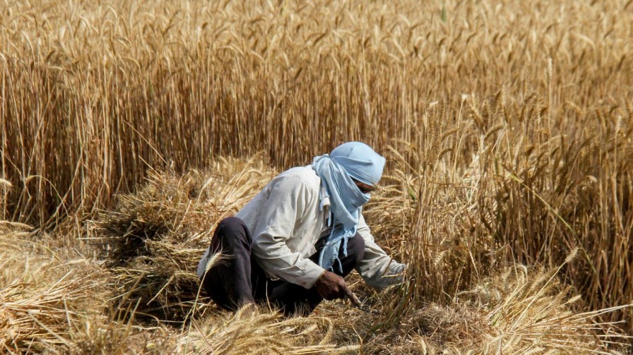 grain warehouses and threshing floors build in Bihar