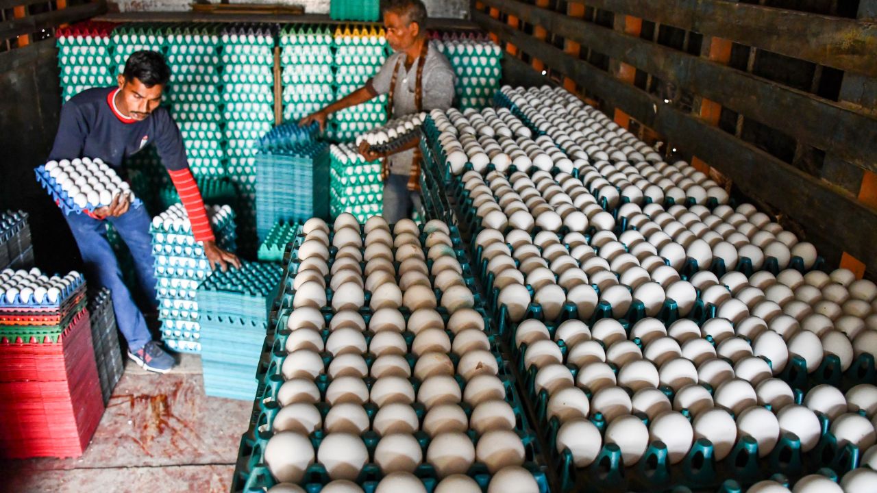 what ethanol connection to chicken eggs price hike