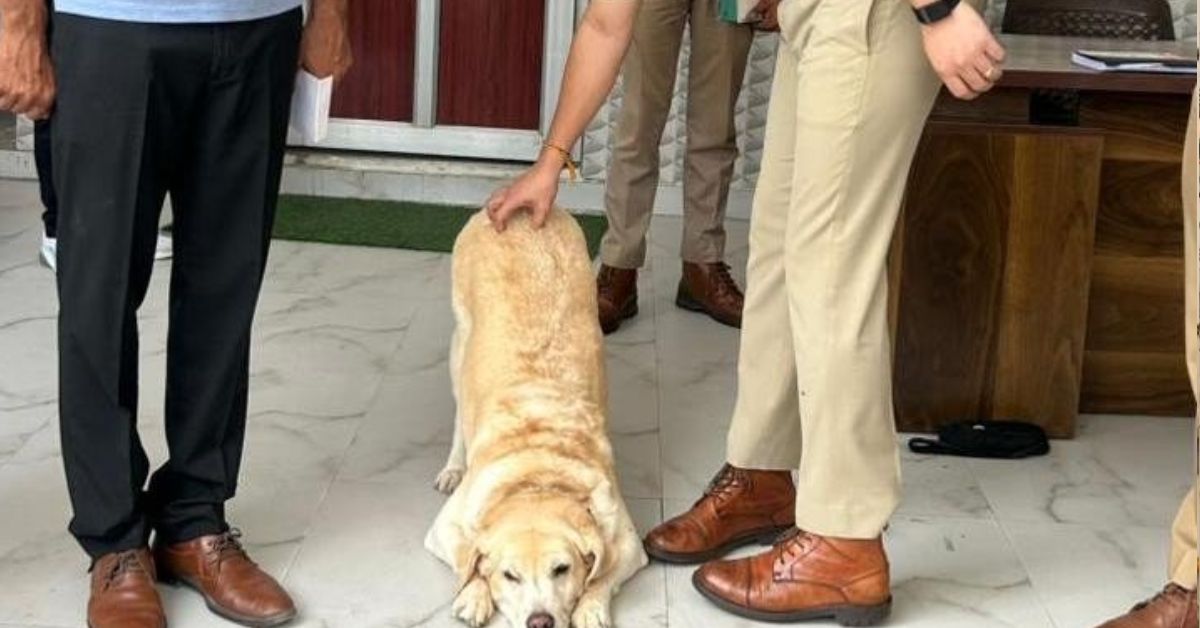 UP Police Dog Marry
