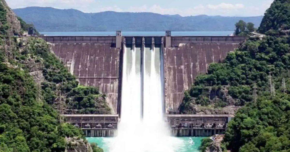 bhakra dam पानी