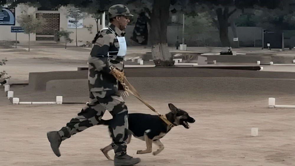 प्रतीकात्मक तस्वीर