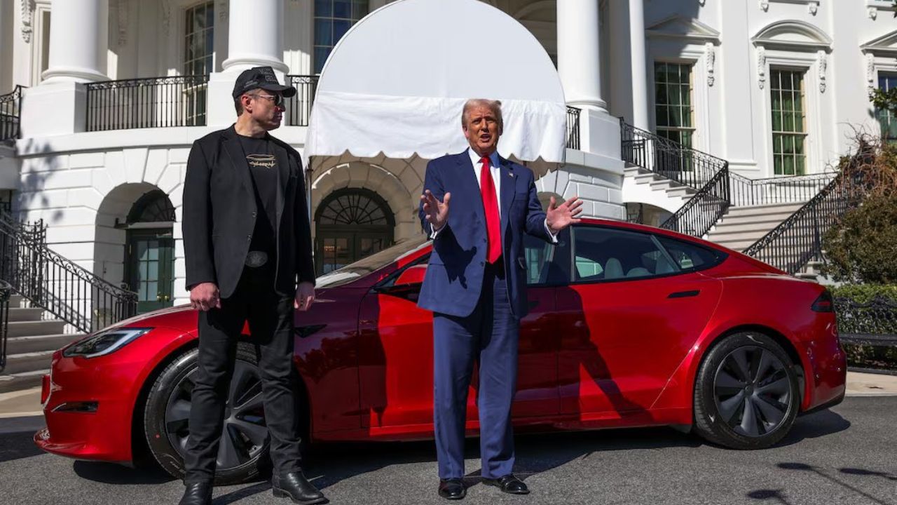 trump and musk