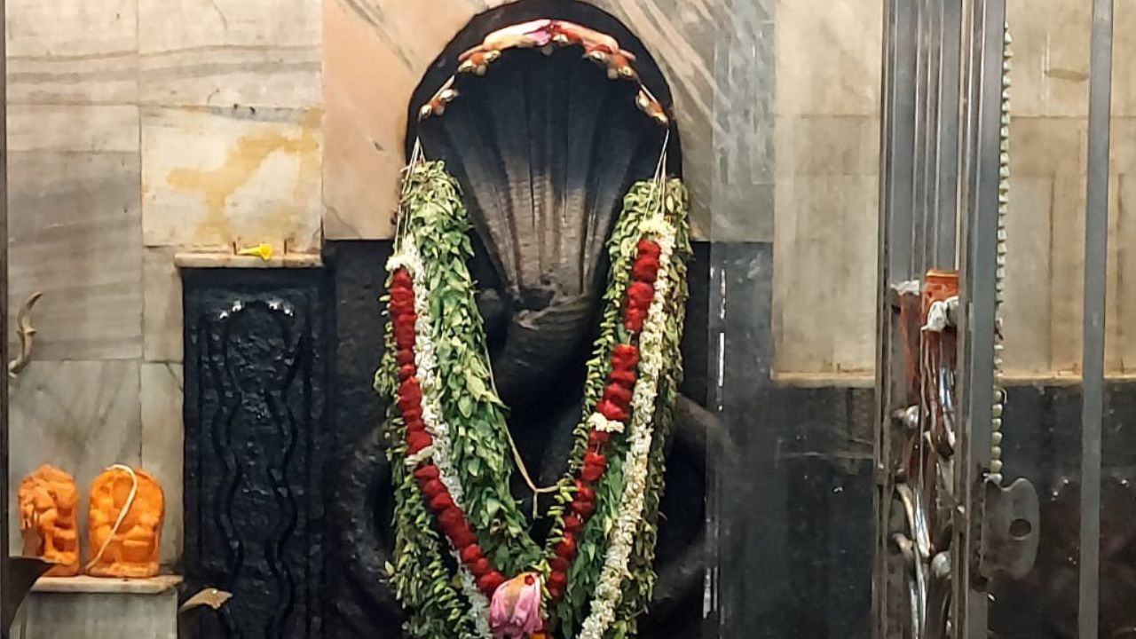 नागवासुकि मंदिर में नागराज की प्रतिमा। (Pic Credit- pdaofficial2/X Handle)