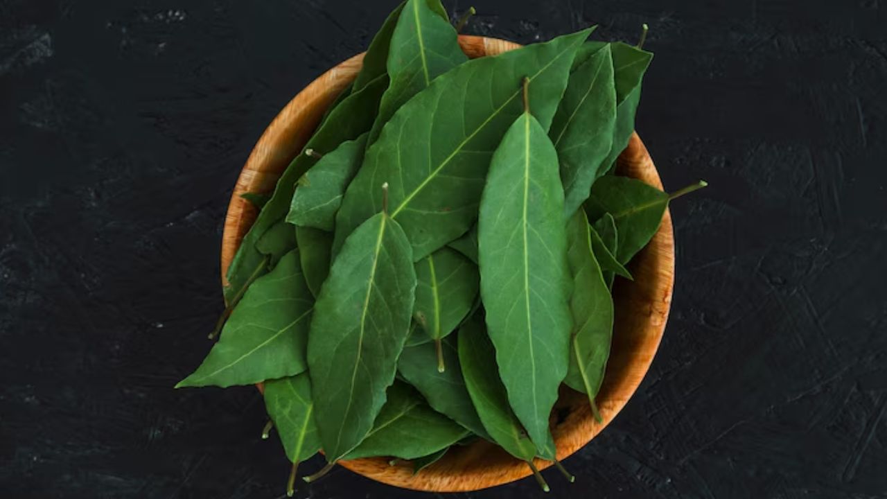  chewing neem leaves