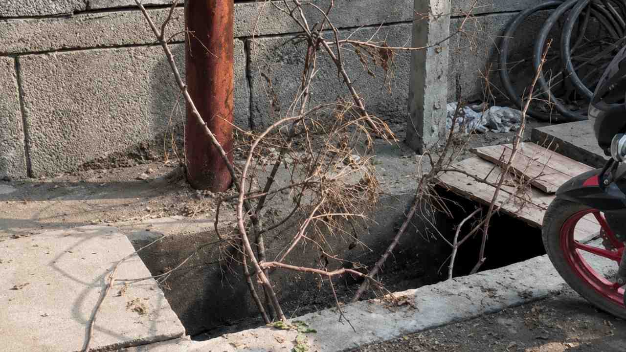 Noida News