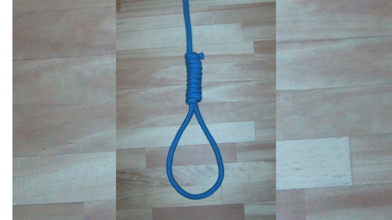 Representational Image : Wikimedia Commons