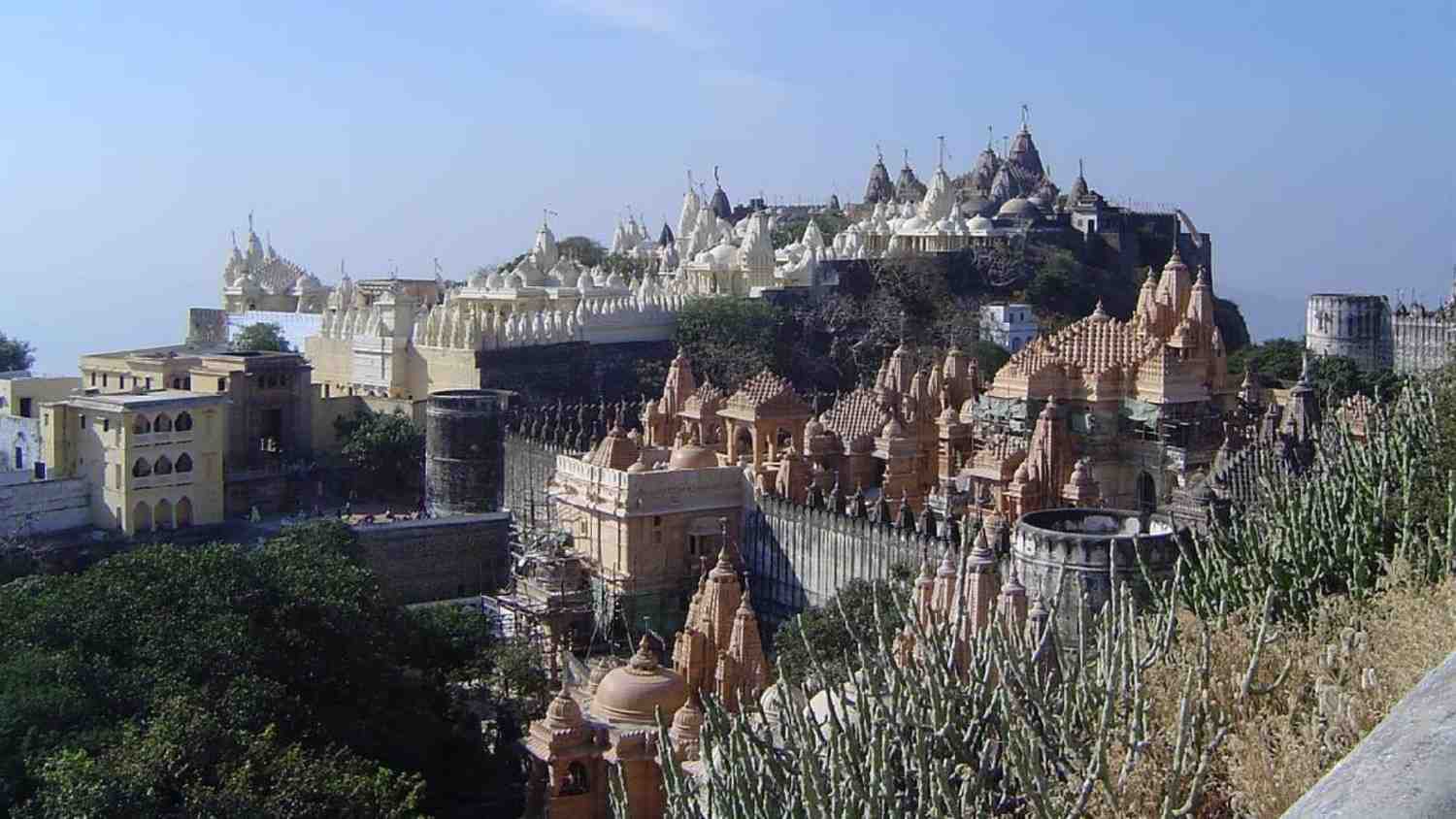 Palitana Temple