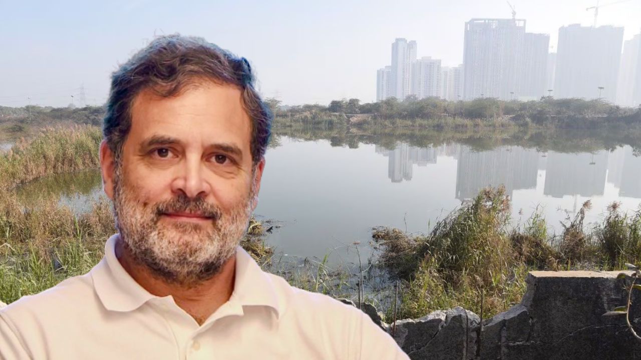 rahul gandhi on noida sector 150 accident