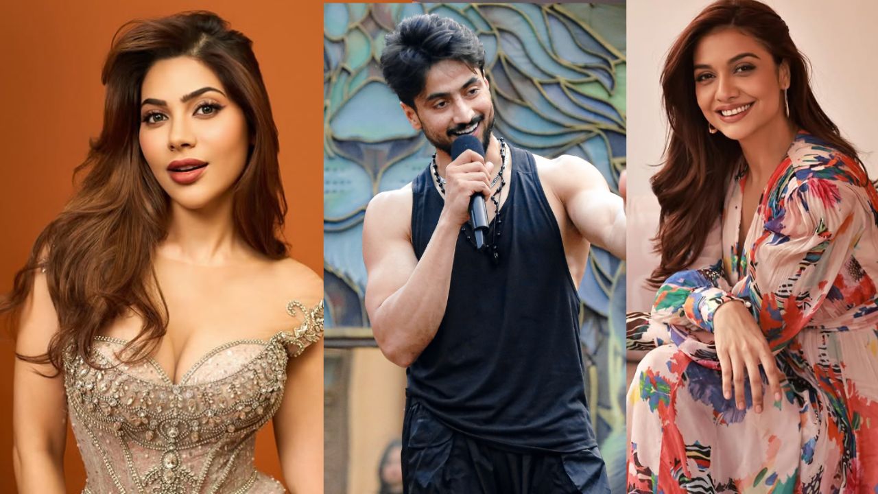 nikki tamboli, mr faisu, divya agarwal