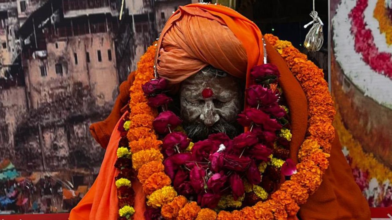 Image of Sadhu Samadhi