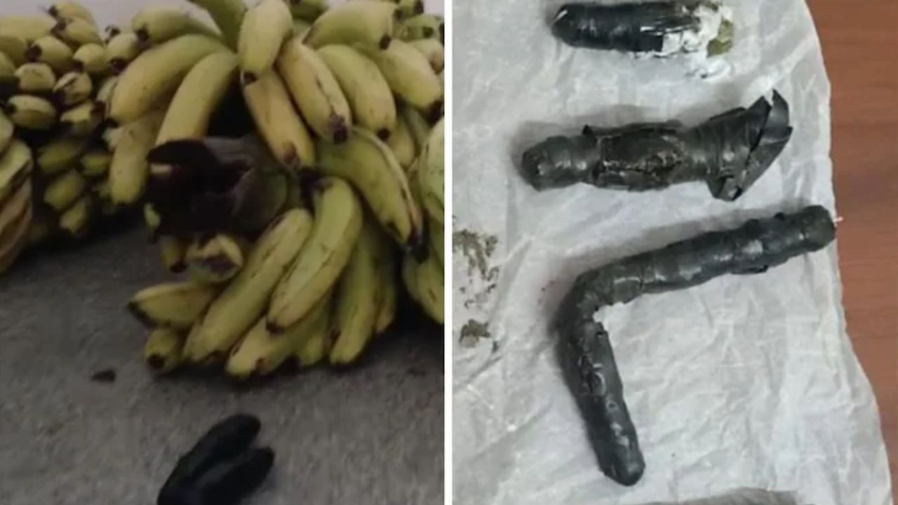 Shivamogga central jail