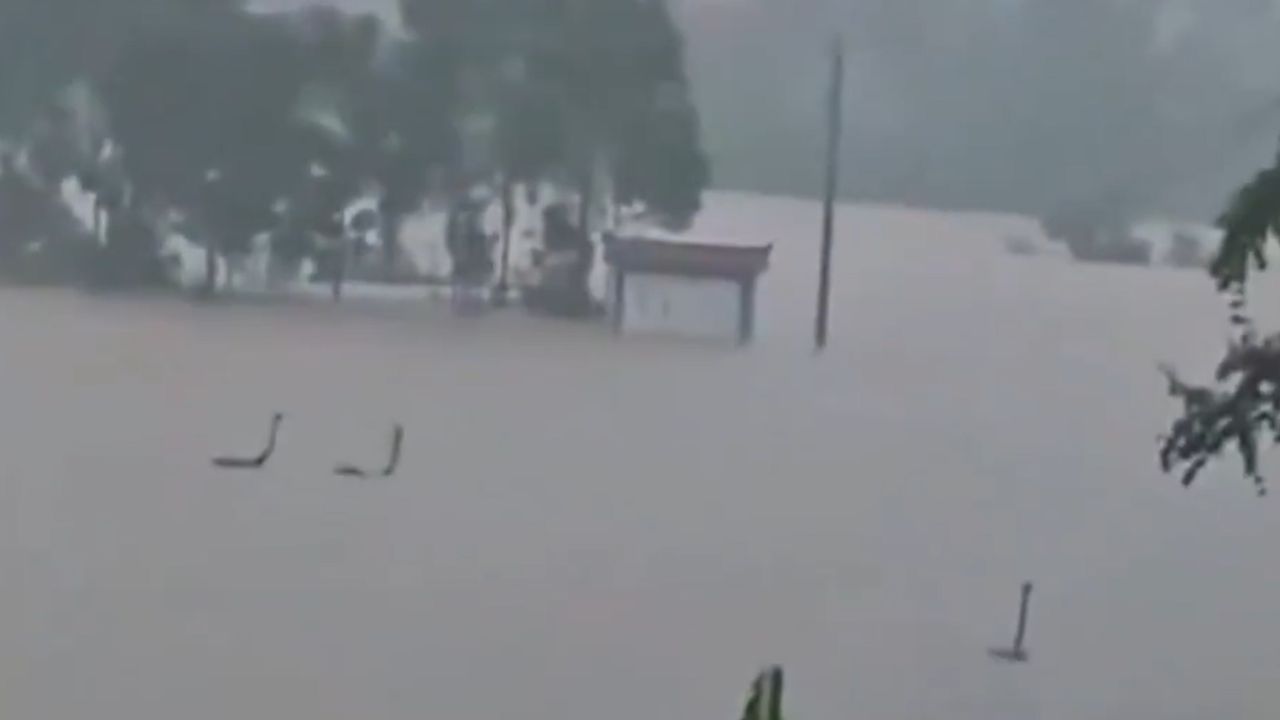 China Snake Flood