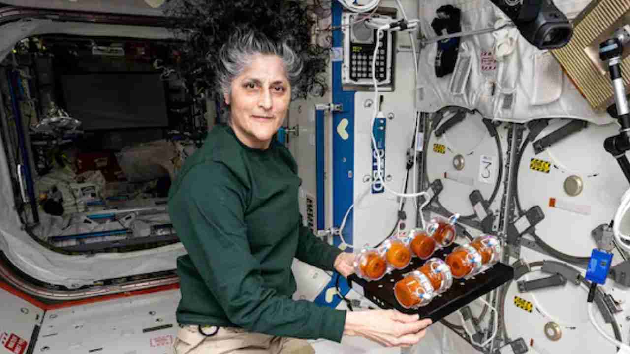 Sunita Williams