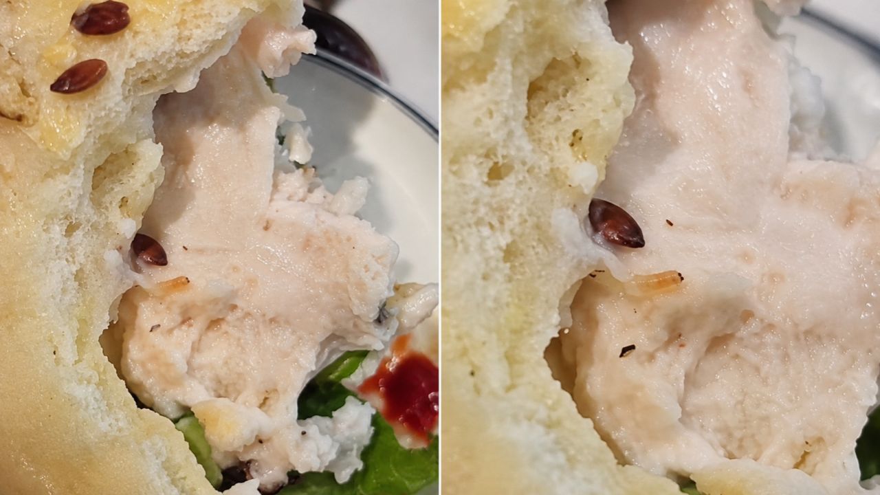 live worm in sandwich