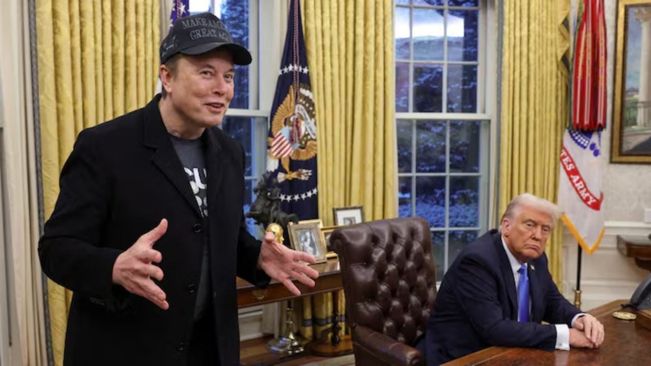 trump advises to Elon musk