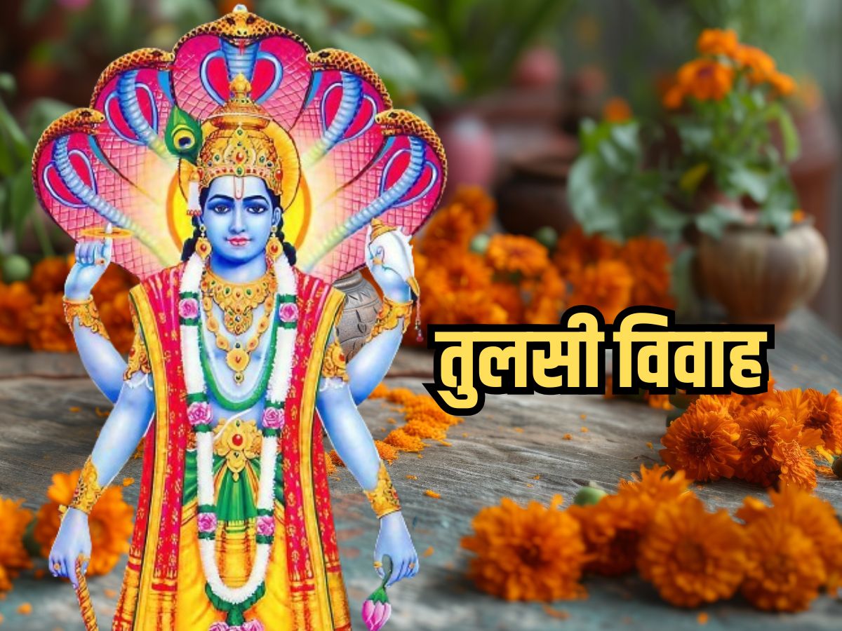 Tulsi Vivah 2024 Date, Tulsi Vivah 2024 Shubh Muhurat, Tulsi Vivah 2024 Katha, Tulsi Vivah Katha,