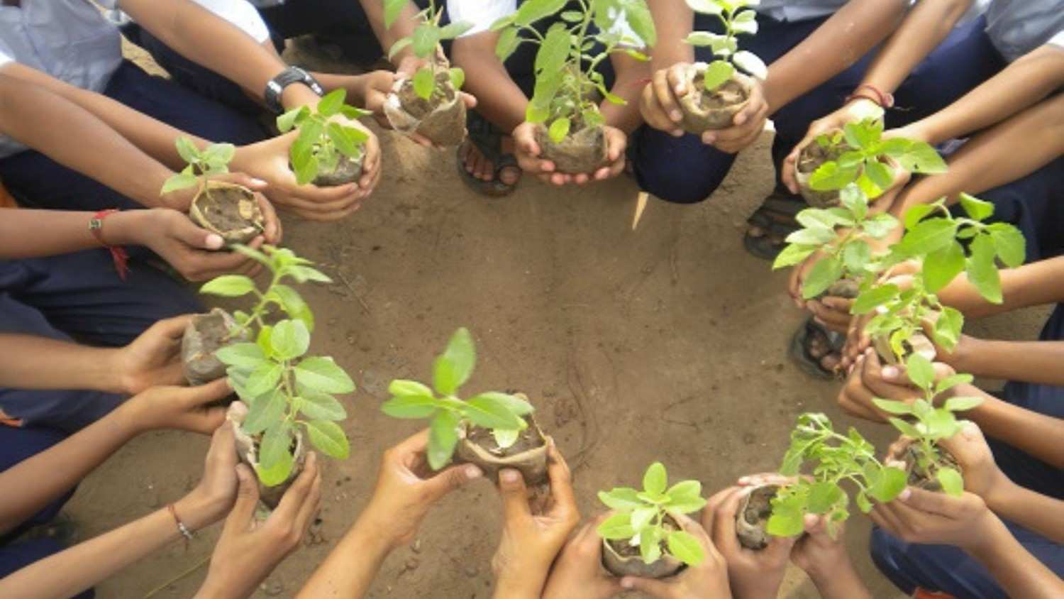 Representative Image