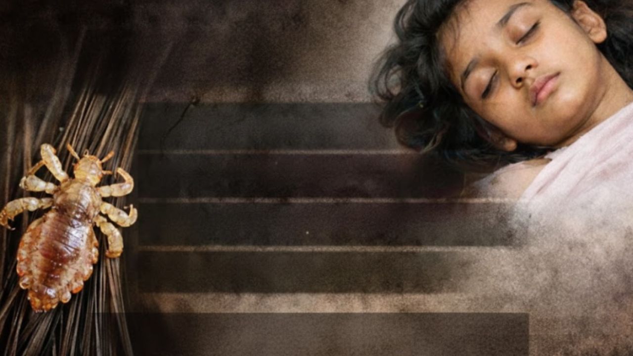 सांकेतिक तस्वीर । Photo credit- Sora 