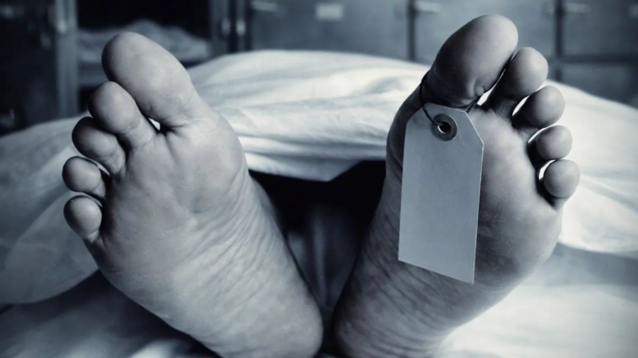 प्रतीकात्मक तस्वीर, Photo Credit- Sora