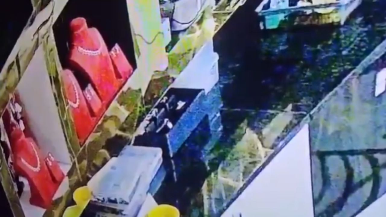 Rat Steals Jewellery