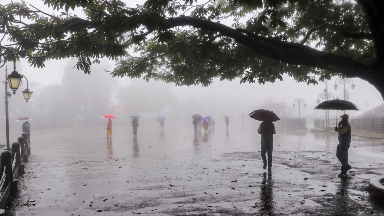 IMD Weather Alert, Heavy Rain, Rainfall Alert,