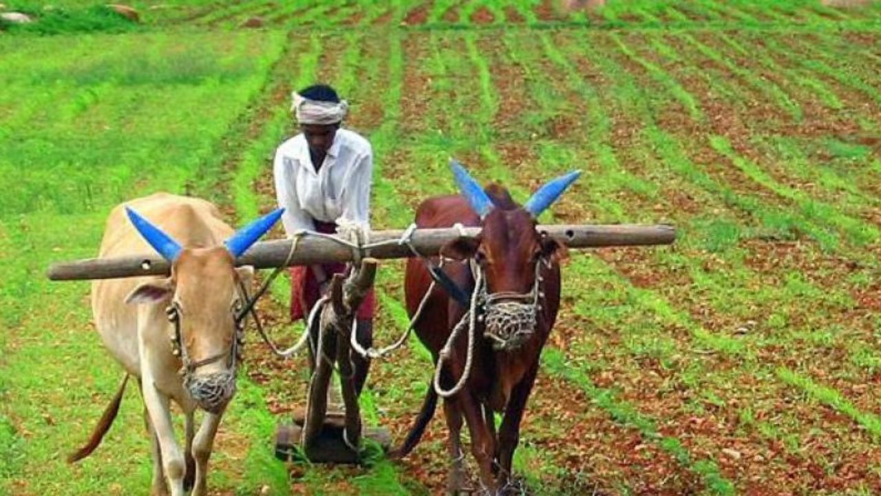 farmer representative image : PTI