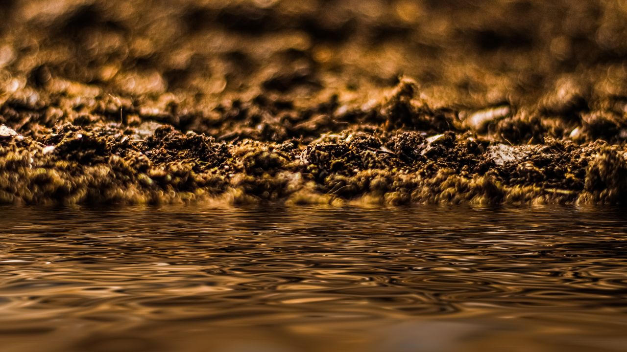 Image of Polluted water